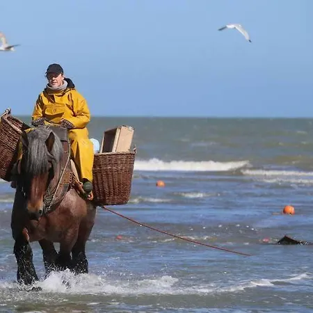Mezennestje * Oostduinkerke